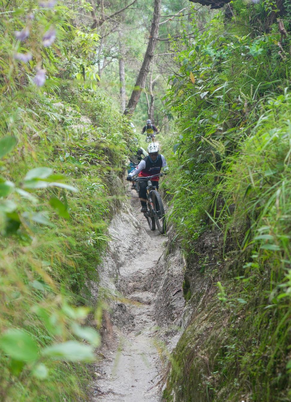 Mountain Biking